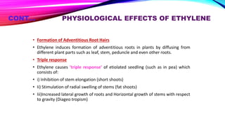 CONT… PHYSIOLOGICAL EFFECTS OF ETHYLENE
• Formation of Adventitious Root Hairs
• Ethylene induces formation of adventitious roots in plants by diffusing from
different plant parts such as leaf, stem, peduncle and even other roots.
• Triple response
• Ethylene causes ‘triple response’ of etiolated seedling (such as in pea) which
consists of:
• i) Inhibition of stem elongation (short shoots)
• Ii) Stimulation of radial swelling of stems (fat shoots)
• Iii)Increased lateral growth of roots and Horizontal growth of stems with respect
to gravity (Diageo tropism)
 