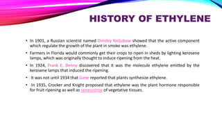 HISTORY OF ETHYLENE
• In 1901, a Russian scientist named Dimitry Neljubow showed that the active component
which regulate the growth of the plant in smoke was ethylene.
• Farmers in Florida would commonly get their crops to ripen in sheds by lighting kerosene
lamps, which was originally thought to induce ripening from the heat.
• In 1924, Frank E. Denny discovered that it was the molecule ethylene emitted by the
kerosene lamps that induced the ripening.
• It was not until 1934 that Gane reported that plants synthesize ethylene.
• In 1935, Crocker and Knight proposed that ethylene was the plant hormone responsible
for fruit ripening as well as senescence of vegetative tissues.
 
