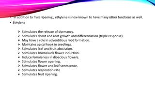 • in addition to fruit ripening , ethylene is now known to have many other functions as well.
• Ethylene
 Stimulates the release of dormancy.
 Stimulates shoot and root growth and differentiation (triple response)
 May have a role in adventitious root formation.
 Maintains apical hook in seedlings.
 Stimulates leaf and fruit abscission.
 Stimulates Bromeliads flower induction.
 Induce femaleness in dioecious flowers.
 Stimulates flower opening.
 Stimulates flower and leaf senescence.
 Stimulates respiration rate
 Stimulates fruit ripening.
 