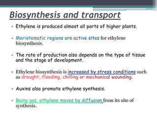 Biosynthesis and transport
• Ethylene is produced almost all parts of higher plants.
• for ethylene
biosynthesis.
• The rate of production also depends on the type of tissue
and the stage of development.
• Ethylene biosynthesis is such
as .
• Auxins also promote ethylene synthesis.
• from its site of
synthesis.
 