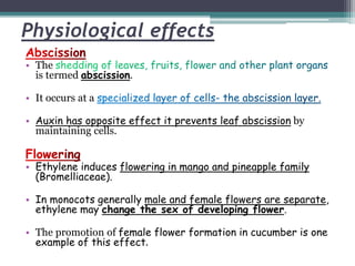 Physiological effects
• The
is termed abscission.
• It occurs at a
• Auxin has opposite effect it prevents leaf abscission by
maintaining cells.
• Ethylene induces flowering in mango and pineapple family
(Bromelliaceae).
• In monocots generally male and female flowers are separate,
ethylene may change the sex of developing flower.
• The promotion of female flower formation in cucumber is one
example of this effect.
 