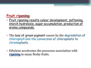 • Fruit ripening results colour development, softening,
starch hydrolysis, sugar accumulation, production of
aroma compounds.
• The loss of green pigment causes by the
• Ethylene accelerates the processes association with
in many fleshy fruits.
 