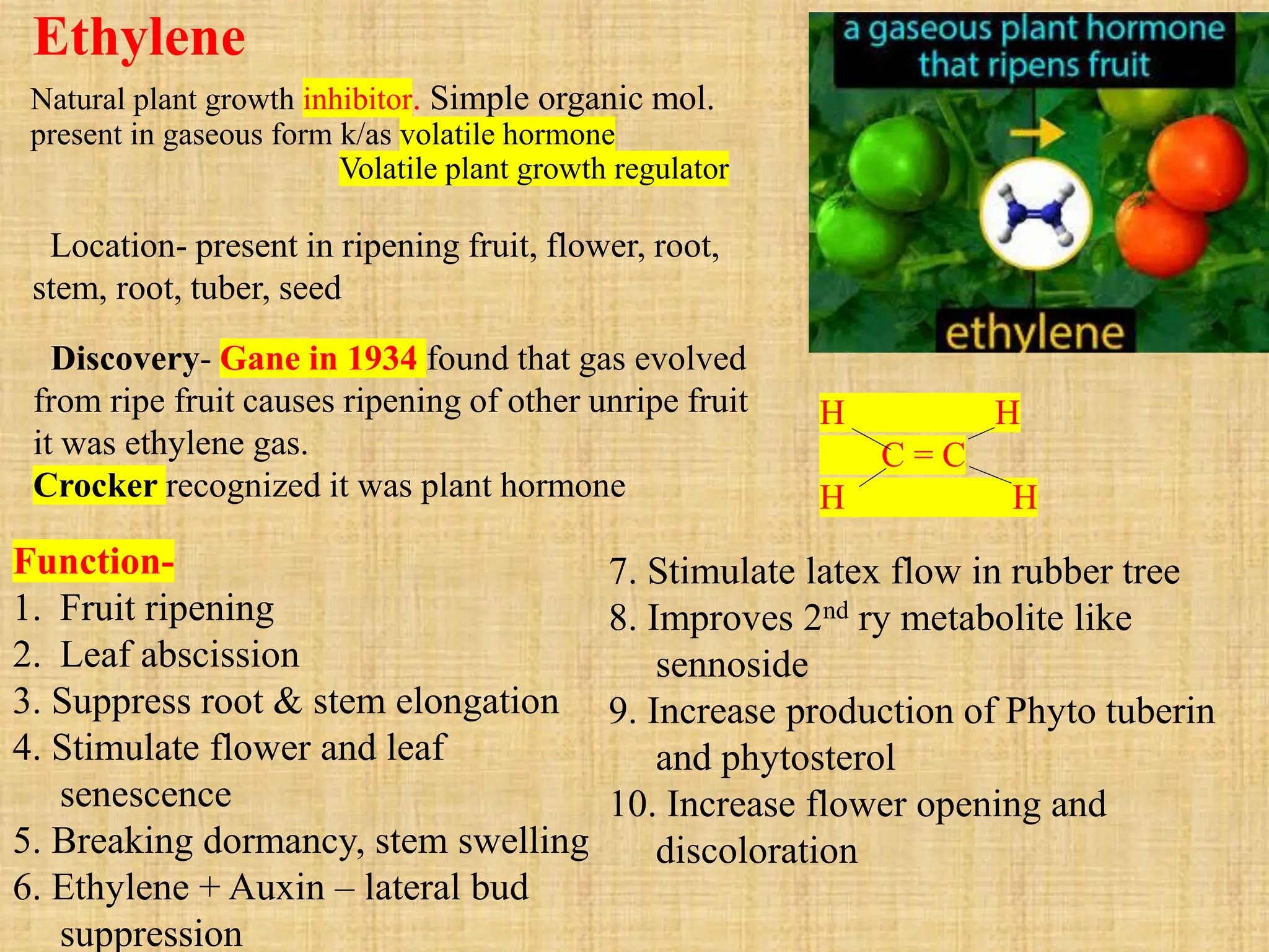Ethylene. Gaseous plant growth inhibitor PPT