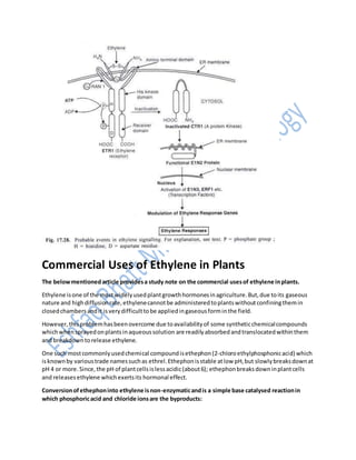 Commercial Uses of Ethylene in Plants
The belowmentionedarticle providesa study note on the commercial usesof ethylene inplants.
Ethylene isone of the mostwidelyusedplantgrowthhormonesinagriculture.But,due toits gaseous
nature and highdiffusionrate,ethylenecannotbe administeredtoplantswithoutconfiningthemin
closedchambersandit isverydifficulttobe appliedingaseousforminthe field.
However,thisproblemhasbeenovercome due toavailabilityof some syntheticchemicalcompounds
whichwhensprayedonplantsinaqueoussolution are readilyabsorbedandtranslocatedwithinthem
and breakdowntorelease ethylene.
One such mostcommonlyusedchemical compoundisethephon(2-chIoroethylphosphonicacid) which
isknownby varioustrade namessuchas ethrel.Ethephonisstable atlow pH,but slowlybreaksdownat
pH 4 or more.Since,the pH of plantcellsislessacidic(about6); ethephonbreaksdowninplantcells
and releasesethylene whichexertsits hormonal effect.
Conversionofethephoninto ethylene isnon-enzymaticandis a simple base catalysed reactionin
which phosphoricacid and chloride ionsare the byproducts:
 