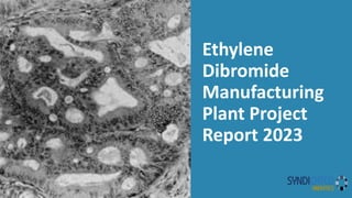 Ethylene
Dibromide
Manufacturing
Plant Project
Report 2023
 