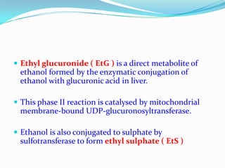  Ethyl glucuronide ( EtG ) is a direct metabolite of
ethanol formed by the enzymatic conjugation of
ethanol with glucuronic acid in liver.
 This phase II reaction is catalysed by mitochondrial
membrane-bound UDP-glucuronosyltransferase.
 Ethanol is also conjugated to sulphate by
sulfotransferase to form ethyl sulphate ( EtS )
 