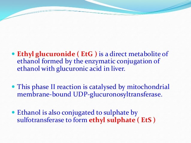 Ethyl Glucuronide