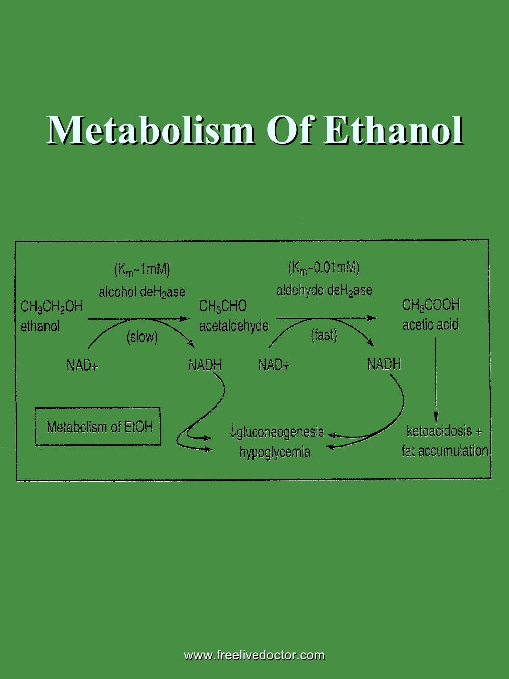 Ethyl & methyl alcohols