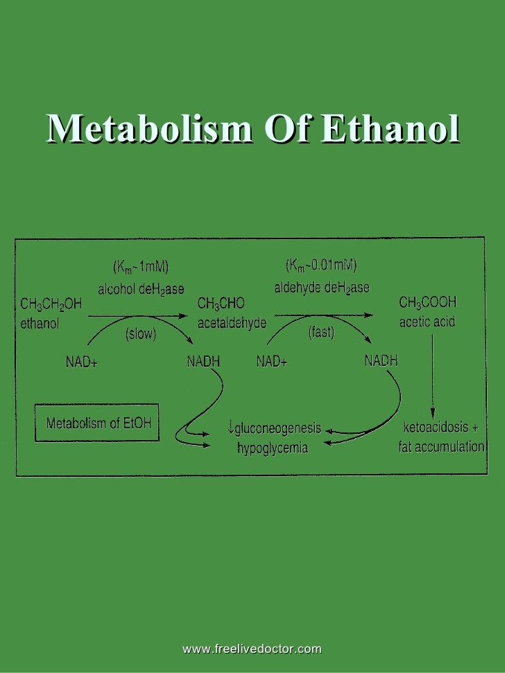 Ethyl & methyl alcohols