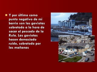 Y por último como punto negativo de mi barrio son las gaviotas sobretodo a la hora de sacar el pescado de la Rula. Las gaviotas hacen demasiado ruido, sobretodo por las mañanas 