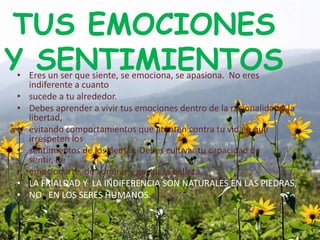 TUS EMOCIONES
Y SENTIMIENTOS
• Eres un ser que siente, se emociona, se apasiona. No eres
  indiferente a cuanto
• sucede a tu alrededor.
• Debes aprender a vivir tus emociones dentro de la racionalidad y la
  libertad,
• evitando comportamientos que atenten contra tu vida o que
  irrespeten los
• sentimientos de los demás. Debes cultivar tu capacidad de
  sentir, de
• emocionarte, de admirar y gustar la belleza.
• LA FRIALDAD Y LA INDIFERENCIA SON NATURALES EN LAS PIEDRAS,
• NO EN LOS SERES HUMANOS.
 