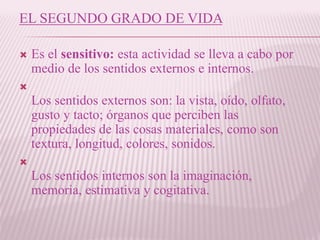 EL SEGUNDO GRADO DE VIDA
 Es el sensitivo: esta actividad se lleva a cabo por
medio de los sentidos externos e internos.

Los sentidos externos son: la vista, oído, olfato,
gusto y tacto; órganos que perciben las
propiedades de las cosas materiales, como son
textura, longitud, colores, sonidos.

Los sentidos internos son la imaginación,
memoria, estimativa y cogitativa.
 