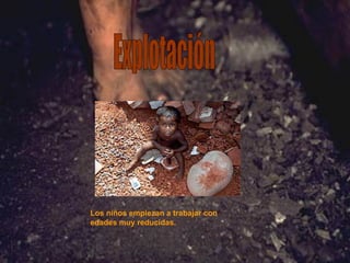 Explotación Los niños empiezan a trabajar con edades muy reducidas. 