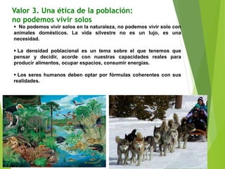 Valor 3. Una ética de la población:
no podemos vivir solos
 No podemos vivir solos en la naturaleza, no podemos vivir solo con
animales domésticos. La vida silvestre no es un lujo, es una
necesidad.
 La densidad poblacional es un tema sobre el que tenemos que
pensar y decidir, acorde con nuestras capacidades reales para
producir alimentos, ocupar espacios, consumir energías.
 Los seres humanos deben optar por fórmulas coherentes con sus
realidades.
 