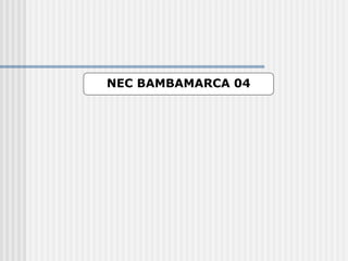 NEC BAMBAMARCA 04
 