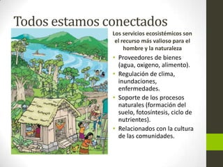 Todos estamos conectados
Los servicios ecosistémicos son
el recurso más valioso para el
hombre y la naturaleza

• Proveedores de bienes
(agua, oxigeno, alimento).
• Regulación de clima,
inundaciones,
enfermedades.
• Soporte de los procesos
naturales (formación del
suelo, fotosíntesis, ciclo de
nutrientes).
• Relacionados con la cultura
de las comunidades.

 