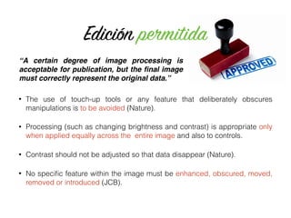 “A certain degree of image processing is
acceptable for publication, but the ﬁnal image
must correctly represent the original data.”
Edición permitida
• The use of touch-up tools or any feature that deliberately obscures
manipulations is to be avoided (Nature).
• Processing (such as changing brightness and contrast) is appropriate only
when applied equally across the entire image and also to controls.
• Contrast should not be adjusted so that data disappear (Nature).
• No speciﬁc feature within the image must be enhanced, obscured, moved,
removed or introduced (JCB).
 
