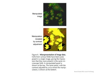 Rosner & Yamada 2004. Journal of Cell Biology
 