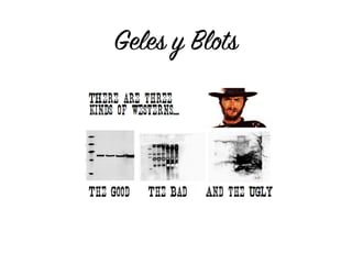 Geles y Blots
 