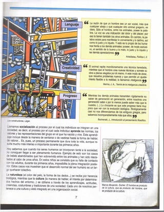 4^ La razón de que un hombre sea un ser social, más que
cualquier abeja y que cualquier otro animal gregario, es
clara. Sólo el hombre, entre los animales, posee la pala-
bra. La voz es una indicación del dolor y del placer; por
eso la tienen también los otros animales. En cambio, la pa-
labra existe para manifestar lo conveniente y lo dañino, así
como lo justo y lo injusto. Y esto es lo propio de los huma-
nos frente a los demás animales: poseer, de modo exclusi-
vo, el sentido de lo bueno y lo malo, lo justo y lo injusto y
las demás apreciaciones.^^
Aristóteles, Política 1,2.
El animal repite monótonamente una técnica heredada,
mientras que el hombre crea nuevas técnicas y somete su
obra a planes elegidos por él mismo. A este modo de obrar,
que resuelve problemas nuevos y que permite un ajusta-
miento flexible a la realidad, lo llamamos inteligencia,
Marina, J. A., Teoría de la inteligertcia creadora.
.z$ constructores. Léger.
Mientras los demás animales transmiten rígidamente su
saber de generación en generación, entre nosotros una
generación sabe o por lo menos puede saber más que la
nuestra. (...) Lo chocante es que este progreso tiene muy
poco que ver con la evolución biológica. Biológicamente
casi no nos diferenciamos de los antiguos griegos, pero
sabemos incomparablemente más que ellos.
BochenskI, J., Introducción al pensamiento filosófico.
üamamos socialización al proceso por el cual los individuos se integran en una
sxiedad, es decir, al proceso por el cual cada individuo aprende las normas, los
«alores y las representaciones del grupo en el que ha nacido y vive. Este aprendi-
zaje incluye desde la manera de sentarse o de vestirse hasta la forma de hablar,
3e valorar... Es, pues, un proceso permanente que dura toda la vida, aunque re-
salta mucho más intenso e importante durante los primeros años.
Hoy sabemos que cuando los seres humanos se incorporan tarde a la sociedad,
no consiguen llegar a ser plenamente humanos. Ejemplo de esto son los casos
de bebés abandonados que han sobrevivido entre los animales y han sido resca-
tados al cabo de unos años. En estos niños se constata que su falta de contacto
con los adultos, durante los primeros años, imposibilita la plena integración poste-
nor. Estos casos nos muestran que el desarrollo normal áer humano es un lar-
go quehacer colectivo.
La naturaleza (el color del pelo, la forma de los dedos...) se recibe por herencia
biológica, mientras que la cultura (la manera de hablar, el interés por detennina-
dos hechos del entorno...) se obtiene a través de los aprendizajes, actitudes,
creencias, costumbres y tradiciones de una sociedad. Cada uno de nosotros per-
tenece a una cultura y está integrado en una organización social.
Manos dibujando. Escher. El liombre es producto
de la cultura, que es producto del fiambre, que
es producto de la cultura.
 