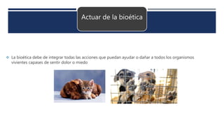 Actuar de la bioética
 La bioética debe de integrar todas las acciones que puedan ayudar o dañar a todos los organismos
vivientes capases de sentir dolor o miedo
 