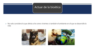 Actuar de la bioética
 No solo considera lo que afecta a los seres vivientes si también el ambiente en el que se desarrolla la
vida
 