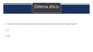 Dilema ético
 estas de acuerdo con el procedimiento de eutanasia en situaciones como moquillo canino?
 Si
 No
 