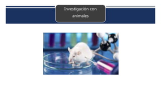 Investigación con
animales
 