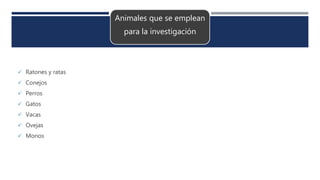 Animales que se emplean
para la investigación
 Ratones y ratas
 Conejos
 Perros
 Gatos
 Vacas
 Ovejas
 Monos
 
