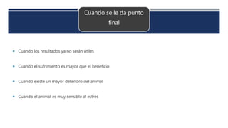 Cuando se le da punto
final
 Cuando los resultados ya no serán útiles
 Cuando el sufrimiento es mayor que el beneficio
 Cuando existe un mayor deterioro del animal
 Cuando el animal es muy sensible al estrés
 