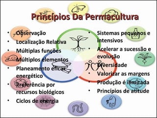 Princípios Da Permacultura
•   Observação             •   Sistemas pequenos e
•   Localização Relativa       intensivos
•   Múltiplas funções      •   Acelerar a sucessão e
                               evolução
•   Múltiplos elementos
                           •   Diversidade
•   Planeamento eficaz
    energético             •   Valorizar as margens
•   Preferência por        •   Produção é ilimitada
    recursos biológicos    •   Princípios de atitude
•   Ciclos de energia
 