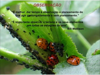 OBSERVAÇÃO
“É melhor dar tempo à observação e planeamento do
   que agir prolongadamente e sem planeamento.”

“É importante observar o terreno e os seus elementos
           em todas as estações do ano”
                                         Bill Mollison
 