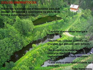 CICLOS ENERGÉTICOS
Nutrientes e energia são armazenados para que
possam ser usados e reutilizados no sistema de
forma a evitar desperdícios.




                                    “Capturar e armazenar energia e
                                    materiais.”

                                    “Identificar, colectar e utilizar as
                                    energias que passam pelo terreno.”

                                    “Ao poupar e re-investir nos
                                    recursos mantemos o sistema e
                                    capturamos ainda mais recursos.”

                                    “Cada ciclo é uma oportunidade na
                                    produção.”
                                                       Toby Hemenway
 