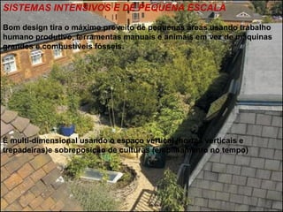 SISTEMAS INTENSIVOS E DE PEQUENA ESCALA

Bom design tira o máximo proveito de pequenas áreas usando trabalho
humano produtivo, ferramentas manuais e animais em vez de máquinas
grandes e combustíveis fósseis.




É multi-dimensional usando o espaço vertical (hortas verticais e
trepadeiras)e sobreposição de culturas (empilhamento no tempo)
 