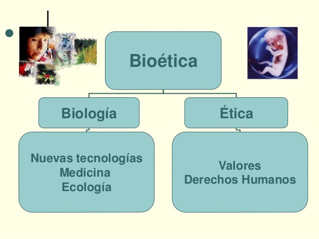 Es Posible La Interdisciplinariedad Entre La Biología Y La ética