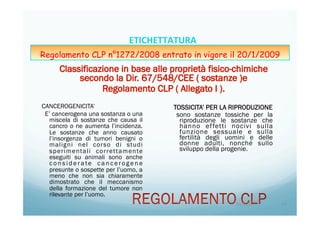 CANCEROGENICITA’
E’ cancerogena una sostanza o una
miscela di sostanze che causa il
cancro o ne aumenta l’incidenza.
Le sostanze che anno causato
l’insorgenza di tumori benigni o
maligni nel corso di studi
sperimentali correttamente
eseguiti su animali sono anche
c o n s i d e r a te c a n c e ro g e n e
presunte o sospette per l’uomo, a
meno che non sia chiaramente
dimostrato che il meccanismo
della formazione del tumore non
rilevante per l’uomo.
TOSSICITA’ PER LA RIPRODUZIONE
sono sostanze tossiche per la
riproduzione le sostanze che
hanno effetti nocivi sulla
funzione sessuale e sulla
fertilità degli uomini e delle
donne adulti, nonché sullo
sviluppo della progenie.
20/04/15	
   54	
  
ETICHETTATURA	
  	
  	
  
Regolamento CLP n°1272/2008 entrato in vigore il 20/1/2009
 