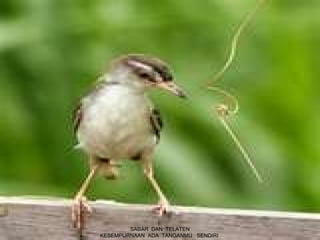 SABAR DAN TELATEN
KESEMPURNAAN ADA TANGANMU SENDIRI
 