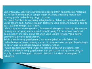 Sementara itu, Sekretaris Direktorat Jenderal P2HP Kementerian Pertanian
Yasin Taufik mengatakan sangat wajar jika harga bawang merah dan
bawang putih melambung tinggi di pasar.
"Di bulan Oktober itu memang sebagian besar lahan pertanian digunakan
untuk tanam padi, hanya sebagian tertentru yang ditanami bawang dan itu
pasti dataran tinggi," ujar Yasin.
Lebih lanjut Yasin mengatakan, fenomena kelangkaan bawang, khususnya
bawang merah yang merupakan komoditi yang 90 persennya produksi
dalam negeri ini yaitu siklus tahunan yang umum terjadi. Yang paling
sering terjadi yaitu gagal panen.
Selain daerah yang gagal panen, Yasin menjelaskan ada faktor lain
melambungnya harga bawang merah di pasaran yakni pengaruh psikologis
di pasar atas kelangkaan bawang merah tersebut.
"Kalau ada lonjakan yang tinggi itu karena pengaruh psikologis dan
pengaruh daerah yang gagal panen dan persoalan kaitnyannya dengan
supply demand. Mungkin masalah distribusi itu akan berpengaruh,"
tukasnya.

 