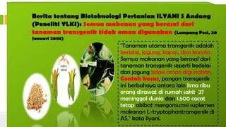 Sumber: http.openlearn.open.ac.uk
Global GM crops
(2004)
CONTOH GENERASI ORGANISME
Rumput lapangan golf
Tahan herbisida, Tumbuh
lambat, mengurangi
pemangkasan, mengurangi
polusi
Pertanian Golden Rice
Kandungan vitamin A
meningkat,
Gen berasal dari bakteri.
Kekurangan: produksi vitamin
A kurang banyak.
Tanaman Pendeteksi Ranjau
Darat
Dibutuhkan oleh militer,Tanpa
upaya ini,anak-anak dan
penduduk sipil terancam
(dikembangkan oleh Aresa
Biodetection)
•Gen yang peka terhadap logam
dimasukkan ke dalam tanaman
•Menyentuh ranjau darat warna
dari menjadi
Berita tentang Bioteknologi Pertanian
masuk (Kompas, 29 Agustus 2008).
Alasannya karena produktivitas
per hektar tanaman jagung
transgenik lebih tinggi 10-20
persen dibandingkan hibrida
nontransgenik.
Peningkatan produktivitas
karena tanaman tersebut lebih
tahan terhadap serangan
serangga penggerek batang dan
tongkol yang dapat menurunkan
produktivitas
Berita tentang Bioteknologi Pertanian ILYANI S Andang
(Peneliti YLKI): Semua makanan yang berasal dari
tanaman transgenik tidak aman digunakan (Lampung Post, 20
Januari 2008)
"Tanaman utama transgenik adalah
kedelai, jagung, kapas, dan kanola.
Semua makanan yang berasal dari
tanaman transgenik seperti kedelai
dan jagung tidak aman digunakan.
Contoh kasus, pangan transgenik
ini berbahaya antara lain lima ribu
orang dirawat di rumah sakit, 37
meninggal dunia dan 1.500 cacat
tetap akibat mengonsumsi suplemen
makanan L-tryptophantransgenik di
AS," kata Ilyani.
 