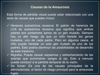 Causas de la Amaurosis

Esta forma de pérdida visual puede estar relacionado con una
serie de causas que pueden incluir:

 Herencia autosómica recesiva: El patrón de herencia de
  LCA es autosómica recesiva que significa que ambos
  padres son portadores sanos de un gen mutado. Siempre
  hay un alto riesgo de que un niño herede los genes
  mutados, uno de cada padre. Pero en algunos casos, el
  niño puede heredar un solo gen mutado de uno de los
  padres. Esto podría disminuir las posibilidades de desarrollo
  de este trastorno.
 Migraña: Puede causar espasmos y estrechamiento de las
  arterias que suministran sangre al ojo. Esto a menudo
  puede conducir a la pérdida temporal de la visión.
 De fumar: Es una de las causas principales de la
  aterosclerosis, el factor de riesgo principal para la amaurosis
  fugaz.
 