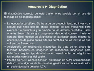 Amaurosis ► Diagnóstico

El diagnóstico correcto de este trastorno es posible por el uso de
técnicas de diagnóstico como:

 La ecografía carotídea: Se trata de un procedimiento no invasivo y
  seguro que hace uso de ondas sonoras de alta frecuencia para
  examinar la estructura y la función de las arterias carótidas. Estas
  arterias llevan la sangre oxigenada desde el corazón hasta el
  cerebro. Este método de diagnóstico en particular puede mostrar la
  acumulación de placa en las arterias carótidas de los individuos que
  sufren con Amaurosis.
 Angiografía por resonancia magnética: Se trata de un grupo de
  técnicas basadas en imágenes de resonancia magnética para
  detectar cualquier tipo de obstrucción, usualmente un coágulo, en
  las arterias carótidas del cuello.
 Prueba de ADN: Genotipificación, extracción de ADN, secuenciación
  didesoxi son algunas de las pruebas genéticas comunes realizados
  en pacientes para detectar LCA.
 