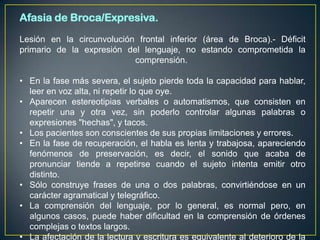 Afasia de Broca/Expresiva.
Lesión en la circunvolución frontal inferior (área de Broca).- Déficit
primario de la expresión del lenguaje, no estando comprometida la
                           comprensión.

• En la fase más severa, el sujeto pierde toda la capacidad para hablar,
  leer en voz alta, ni repetir lo que oye.
• Aparecen estereotipias verbales o automatismos, que consisten en
  repetir una y otra vez, sin poderlo controlar algunas palabras o
  expresiones "hechas", y tacos.
• Los pacientes son conscientes de sus propias limitaciones y errores.
• En la fase de recuperación, el habla es lenta y trabajosa, apareciendo
  fenómenos de preservación, es decir, el sonido que acaba de
  pronunciar tiende a repetirse cuando el sujeto intenta emitir otro
  distinto.
• Sólo construye frases de una o dos palabras, convirtiéndose en un
  carácter agramatical y telegráfico.
• La comprensión del lenguaje, por lo general, es normal pero, en
  algunos casos, puede haber dificultad en la comprensión de órdenes
  complejas o textos largos.
• La afectación de la lectura y escritura es equivalente al deterioro de la
 