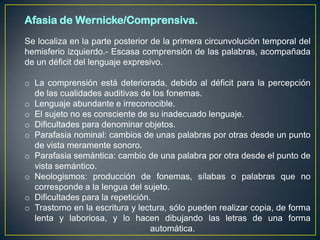 Afasia de Wernicke/Comprensiva.
Se localiza en la parte posterior de la primera circunvolución temporal del
hemisferio izquierdo.- Escasa comprensión de las palabras, acompañada
de un déficit del lenguaje expresivo.

o La comprensión está deteriorada, debido al déficit para la percepción
  de las cualidades auditivas de los fonemas.
o Lenguaje abundante e irreconocible.
o El sujeto no es consciente de su inadecuado lenguaje.
o Dificultades para denominar objetos.
o Parafasia nominal: cambios de unas palabras por otras desde un punto
  de vista meramente sonoro.
o Parafasia semántica: cambio de una palabra por otra desde el punto de
  vista semántico.
o Neologismos: producción de fonemas, sílabas o palabras que no
  corresponde a la lengua del sujeto.
o Dificultades para la repetición.
o Trastorno en la escritura y lectura, sólo pueden realizar copia, de forma
  lenta y laboriosa, y lo hacen dibujando las letras de una forma
                                  automática.
 