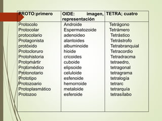 PROTO:primero OIDE: imagen,
representación
TETRA; cuatro
Protocolo
Protocolar
protocolario
Protagonista
protóxido
Protocloruro
Protohistoria
Protomártir
Protomédico
Protonotario
Prototipo
Protozoario
Protoplasmático
Protozoo
Androide
Espermatozoide
adenoideo
alantoides
albuminoide
hioide
cricoides
cuboide
elipsoide
celuloide
esfenoide
hemorroide
metaloide
esferoide
Tetrágono
Tetrámero
Tetrástico
Tetrástrofo
Tetrabranquial
Tetracordio
Tetradracma
tetraedro,
tetragonal
tetragrama
tetralogía
tetrarc
tetrarquía
tetrasílabo
 