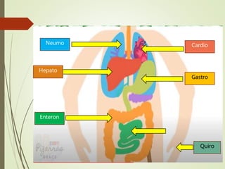 Gastro
Neumo Cardio
Enteron
Quiro
Hepato
 