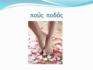 πούςποδός