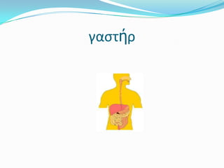 γαστήρ