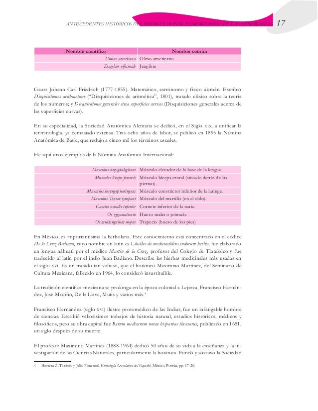 Etimologias grecolatinas