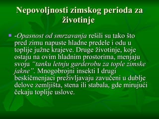 Nepovoljnosti zimskog perioda za  ž ivotinje  - Opasnost od smrzavanja  re š ili su tako  š to pred zimu napuste hladne predele i odu u toplije ju ž ne krajeve. Druge  ž ivotinje, koje ostaju na ovim hladnim prostorima, menjaju svoju  “tanku letnju garderobu za tople zimske jakne”.  Mnogobrojni insekti I drugi beski č menja c i pre ž ivljavaju zavu č eni u dublje delo v e zemlji š ta, stena ili stabala, gde miruju ć i  č ekaju toplije uslove. 