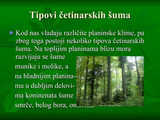 Tipovi  č etinarskih  š uma Kod nas vladaju različite planinske klime, pa z bog   toga postoji nekoliko   tipova  č etinarskih  š uma. Na toplijim planinama blizu mora   razvijaju se  š ume munike i molike,  a na hladnijim  planina- ma u dublji m delovi- ma koninenata  šume smr č e, belog bora, omorike.  